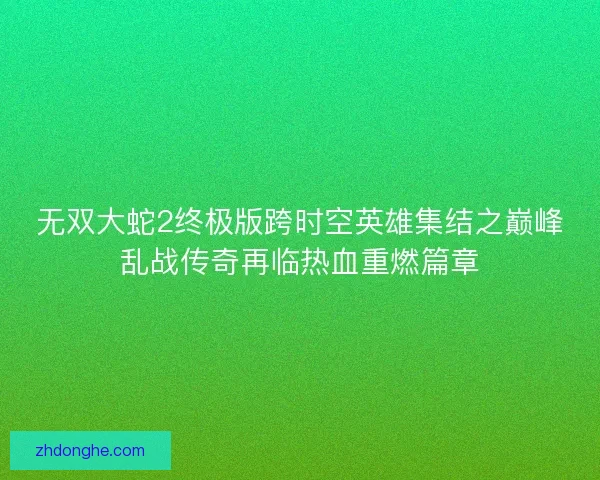 无双大蛇2终极版跨时空英雄集结之巅峰乱战传奇再临热血重燃篇章